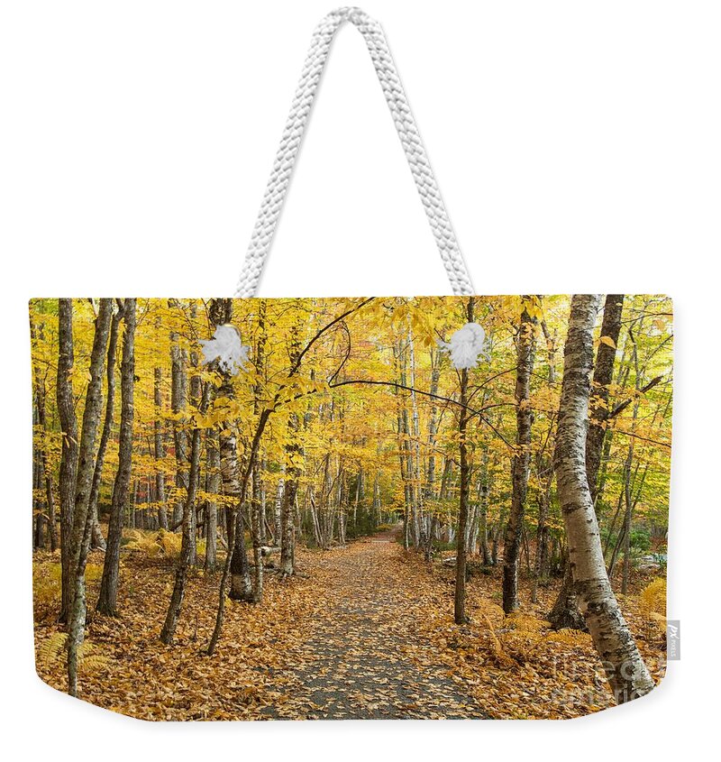 Maine Weekender Tote Bag featuring the photograph Yellow Canopy by Karin Pinkham