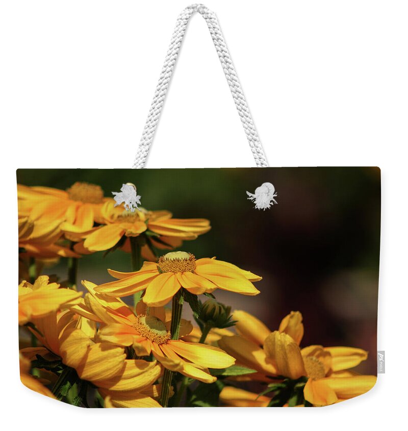 Yellow Cascade Weekender Tote Bag featuring the photograph Yellow Cascade 2955 H_2 by Steven Ward