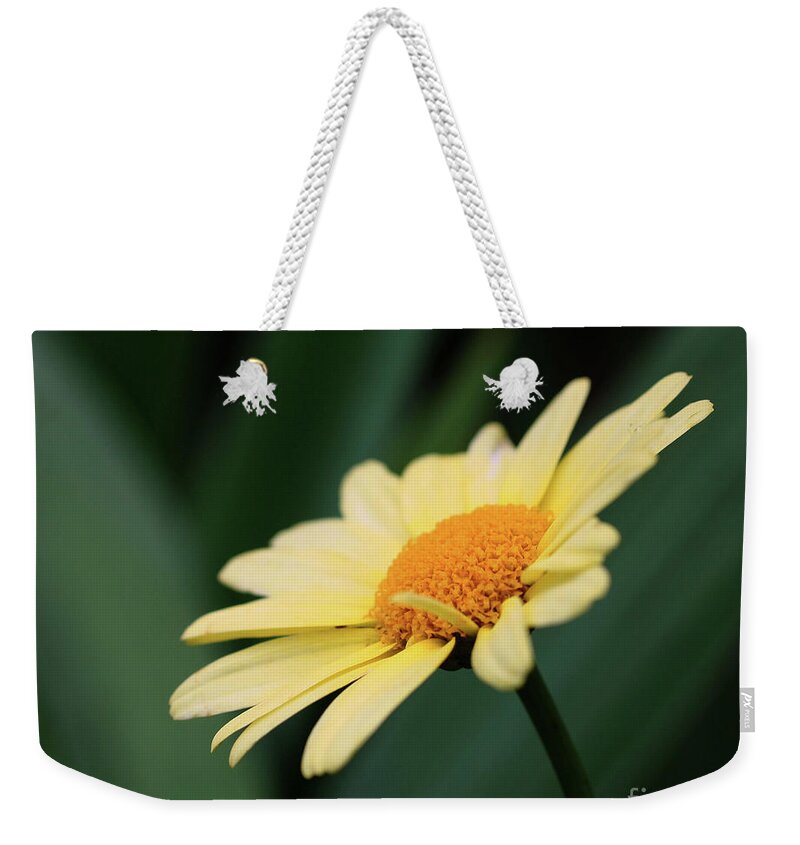 Daisies Weekender Tote Bag featuring the photograph Yellow Daisy by Smilin Eyes Treasures