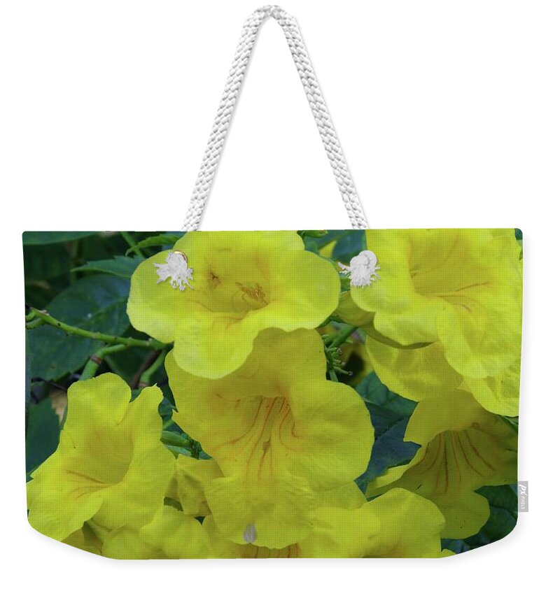 Yellow Elder Weekender Tote Bag featuring the photograph Yellow Elder  by Richard Rizzo