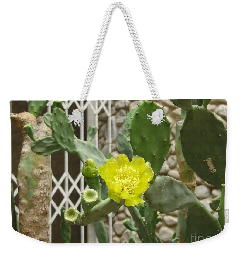Gardens Weekender Tote Bag featuring the photograph Yellow Flower Cactus by Donna L Munro