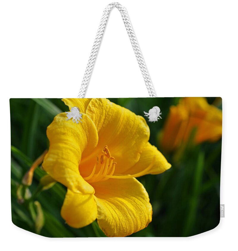 Hemerocallis Weekender Tote Bag featuring the photograph Hemerocallis 'Stella d'Oro' Daylily by Toby McGuire