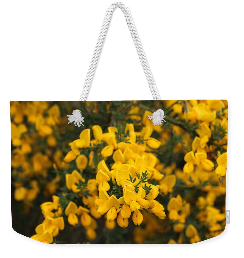 Yellow Flowers Weekender Tote Bag featuring the photograph Yellow Flowers - 3 by Christy Pooschke