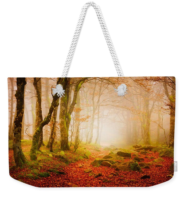 Forest Weekender Tote Bag featuring the photograph Yellow Forest Mist by Philippe Sainte-Laudy
