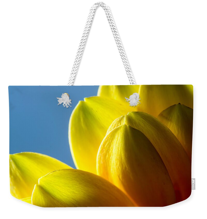 Color Weekender Tote Bag featuring the photograph Yellow Gerbera Flower and Blue Sky by John Williams