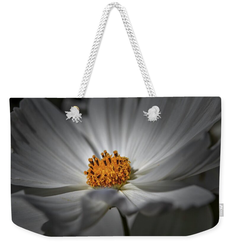Yellow Hart Weekender Tote Bag featuring the photograph Yellow Hart #h8 by Leif Sohlman