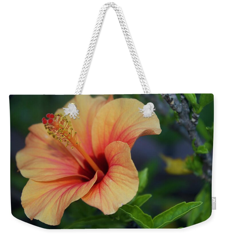 Yellow Weekender Tote Bag featuring the photograph Yellow Hibiscus by Carol Tsiatsios