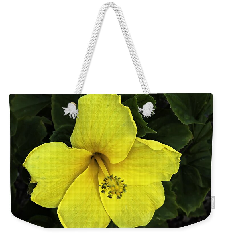 Design Weekender Tote Bag featuring the photograph Yellow Hibiscus by Mark Myhaver