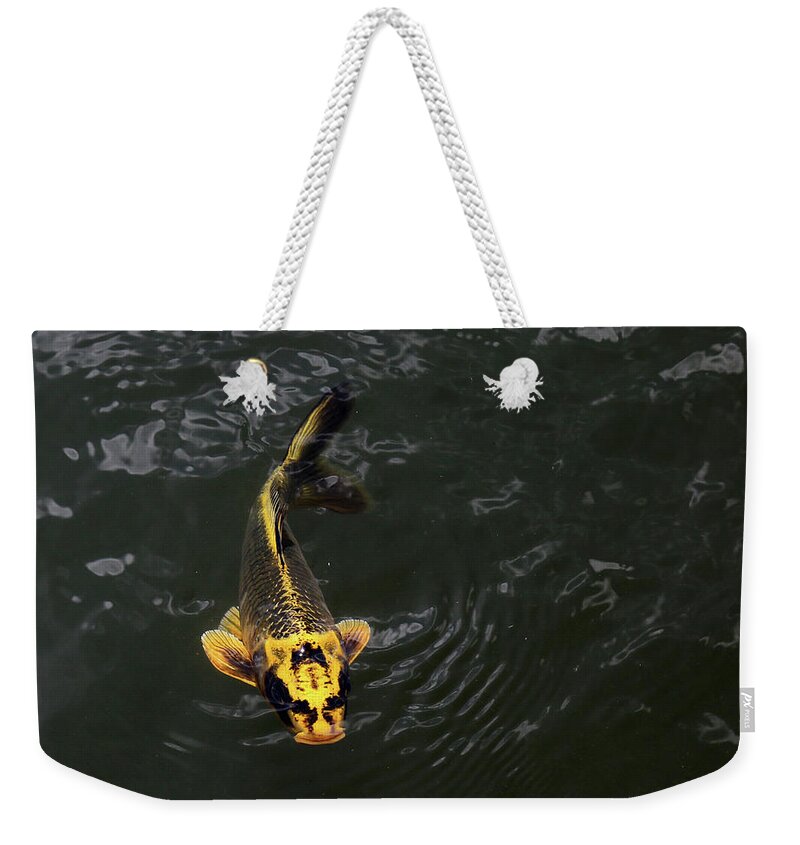Koi Weekender Tote Bag featuring the photograph Yellow Koi 5 by Mary Bedy
