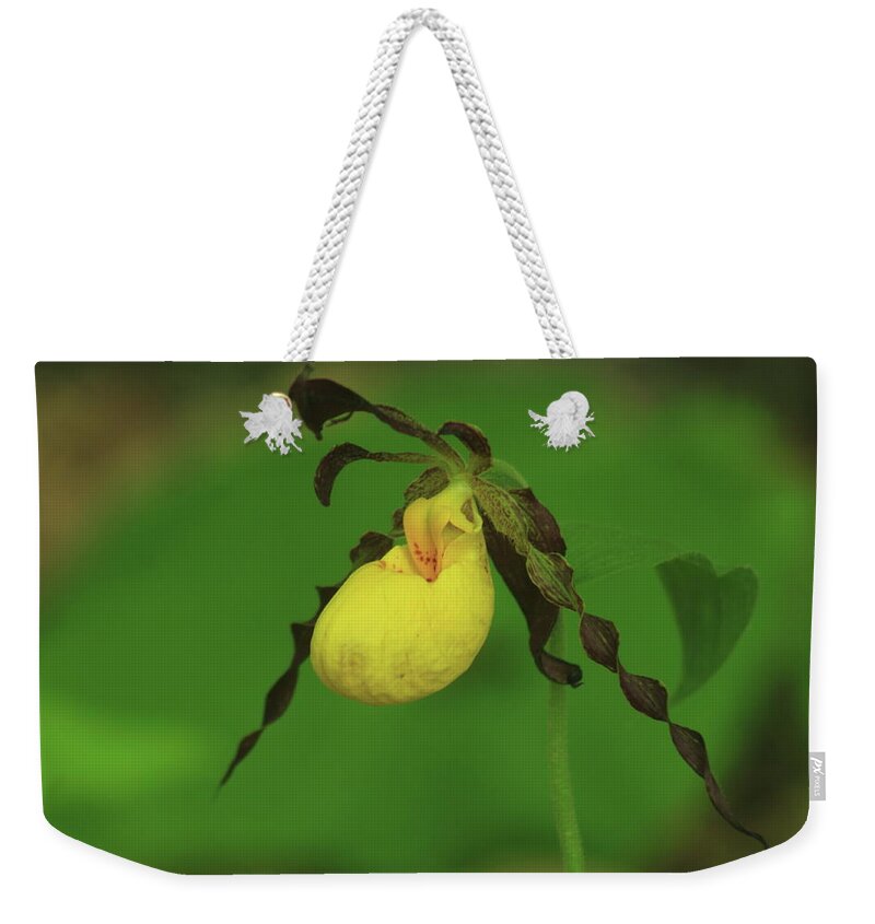 Wildflower Weekender Tote Bag featuring the photograph Yellow Lady's Slipper by John Burk