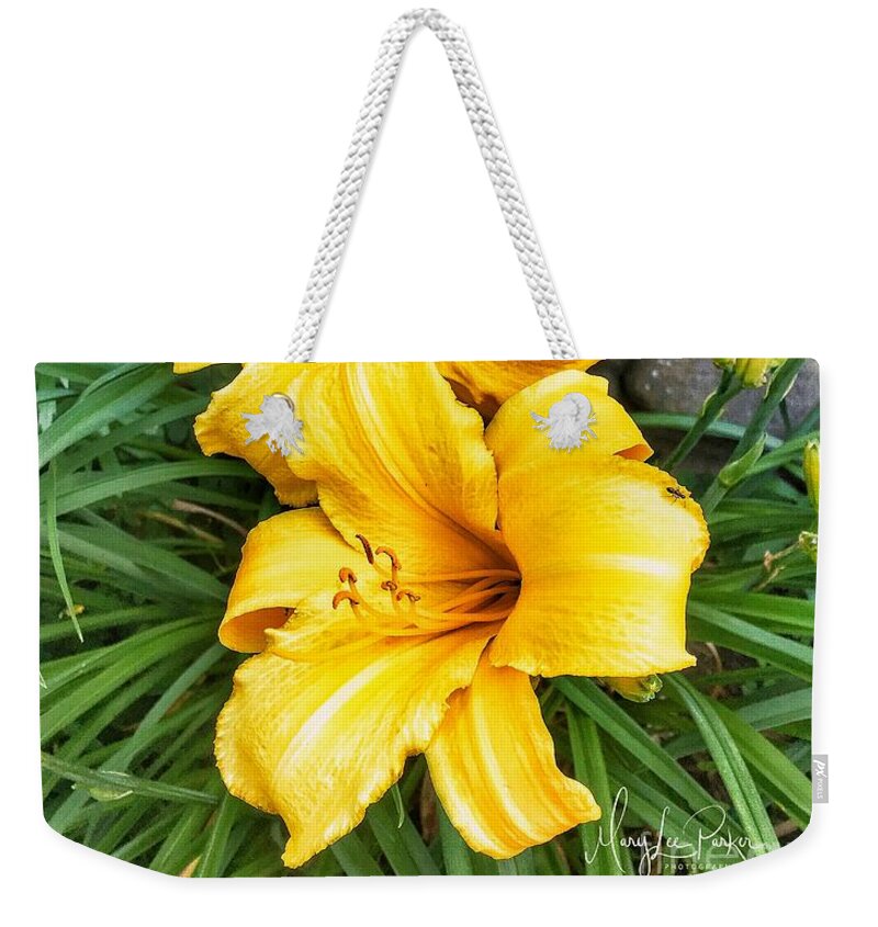 Yellow Liliys Weekender Tote Bag featuring the photograph Yellow Liliys by MaryLee Parker