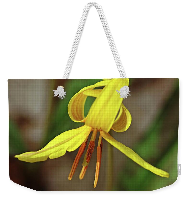Lily Weekender Tote Bag featuring the photograph Yellow Lily Wildflower by Debbie Oppermann