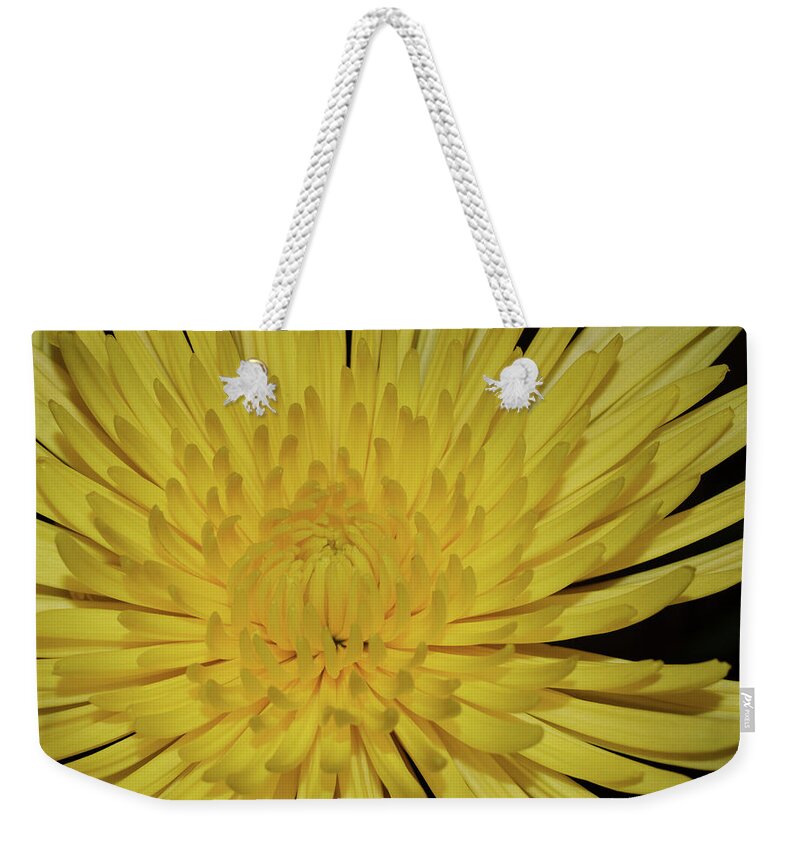 Photograph Weekender Tote Bag featuring the photograph Yellow Mum by Larah McElroy