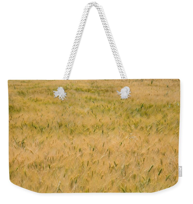 Abstract Weekender Tote Bag featuring the photograph Yellow nature abstract background by Michalakis Ppalis