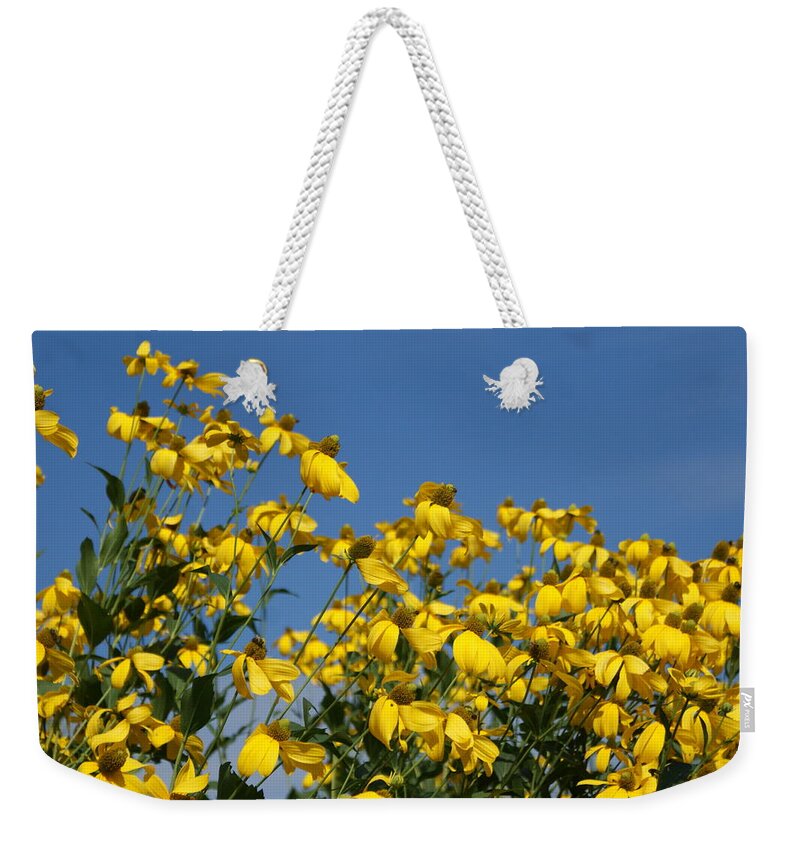 Flowers Weekender Tote Bag featuring the photograph Yellow on Blue by Lois Lepisto