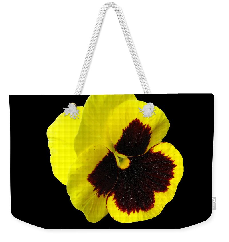 Pansies Weekender Tote Bag featuring the photograph Yellow Pansy On Black by J M Farris Photography