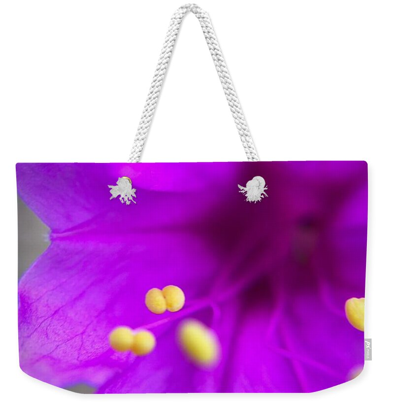 Wildflower Weekender Tote Bag featuring the photograph Yellow Pistil by Brad Hodges