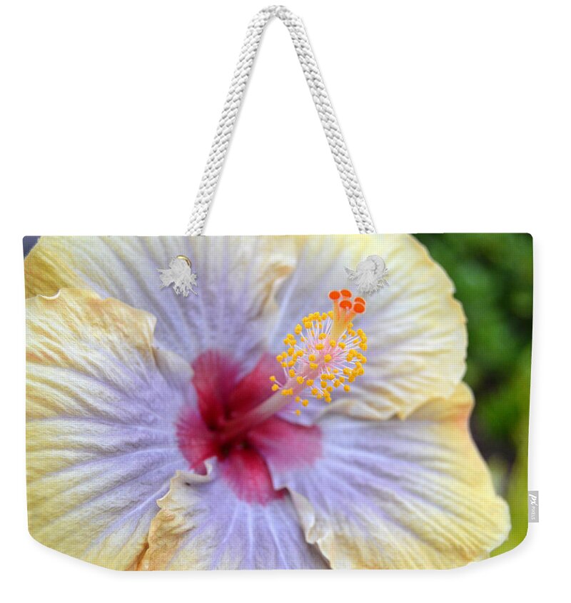 Flower Weekender Tote Bag featuring the photograph Yellow Purple Hibiscus 1 by Amy Fose