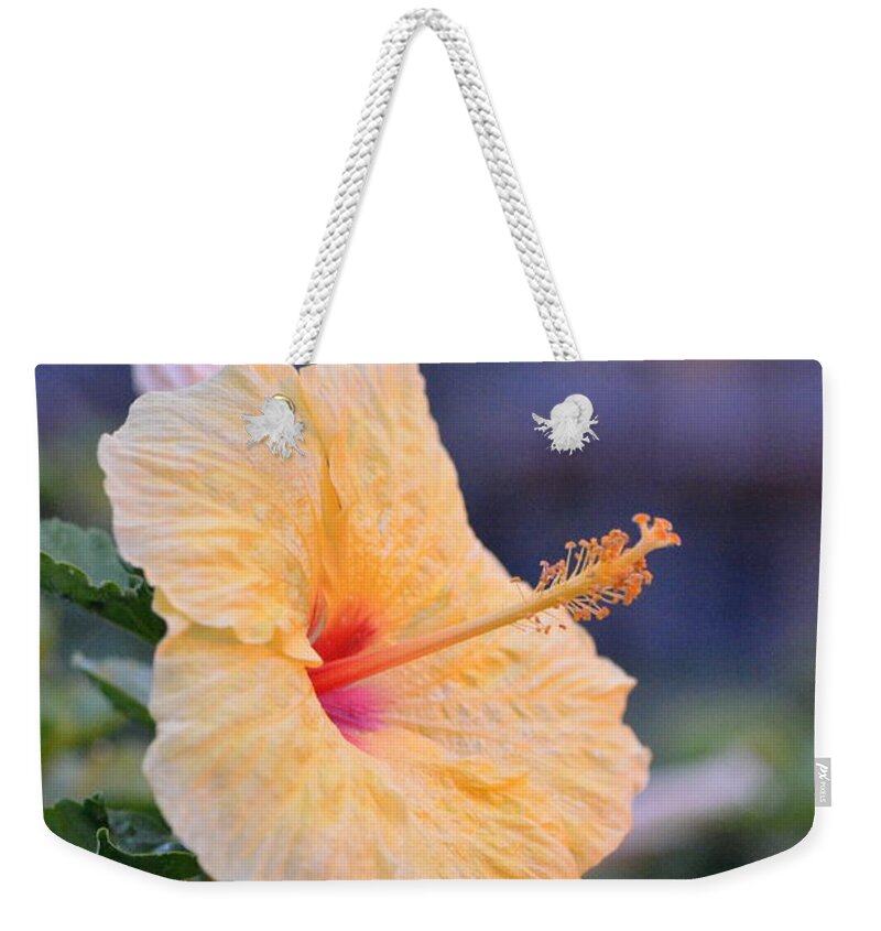 Flower Weekender Tote Bag featuring the photograph Yellow Red Hibiscus Profile by Amy Fose
