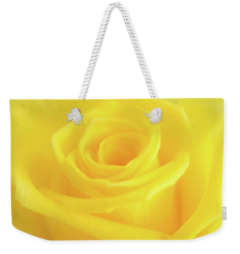 Yellow Rose Weekender Tote Bag featuring the photograph Yellow Rose by Andy Myatt