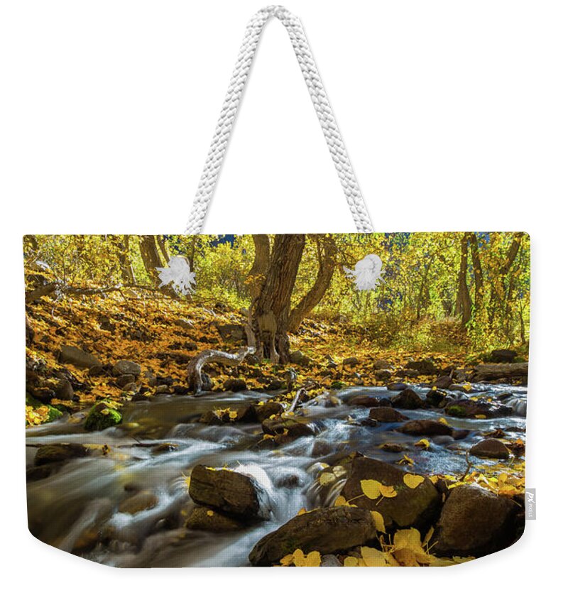 Fall Weekender Tote Bag featuring the photograph Yellow by Tassanee Angiolillo