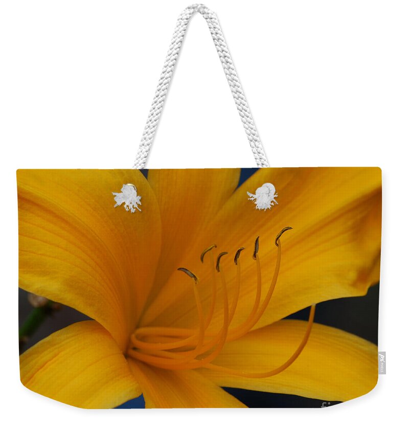 Flower Weekender Tote Bag featuring the photograph Yellow Tiger Lilly by Grace Grogan