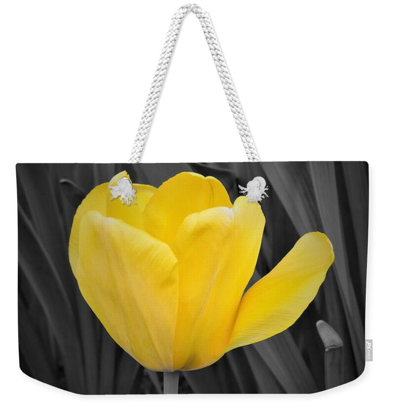 Yellow Weekender Tote Bag featuring the photograph Yellow Tulip by Chad and Stacey Hall