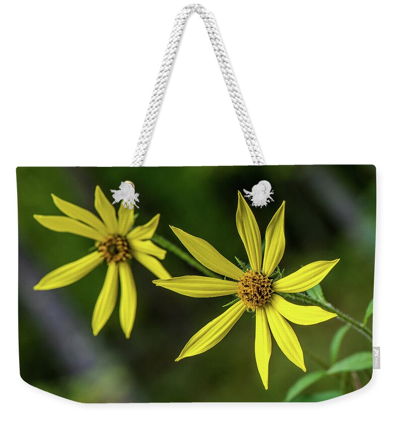Sunflower Weekender Tote Bag featuring the photograph Yellow wild flowers by Paul Freidlund