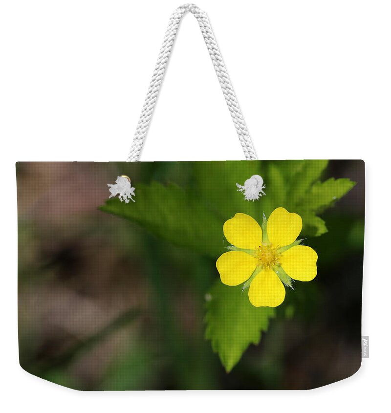Flower Weekender Tote Bag featuring the photograph Yellow Wildflower by Mary Bedy