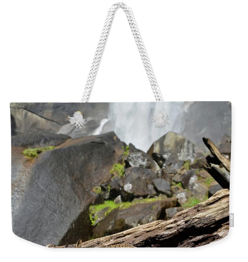 Yosemite National Park Weekender Tote Bag featuring the photograph Yosemite Falls Squirrel by Kyle Hanson