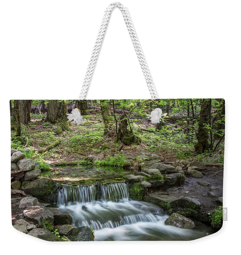 Yosemite Weekender Tote Bag featuring the photograph Yosemite View 23 by Ryan Weddle