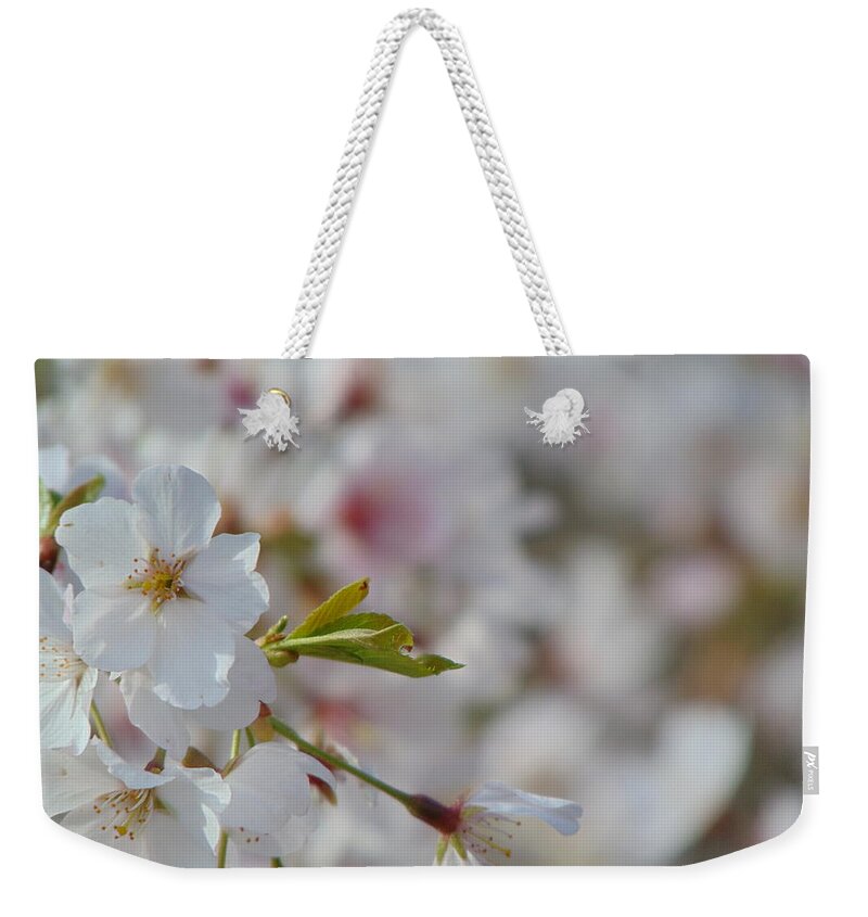 Landscape Weekender Tote Bag featuring the photograph Yoshino Blooms by Richie Parks