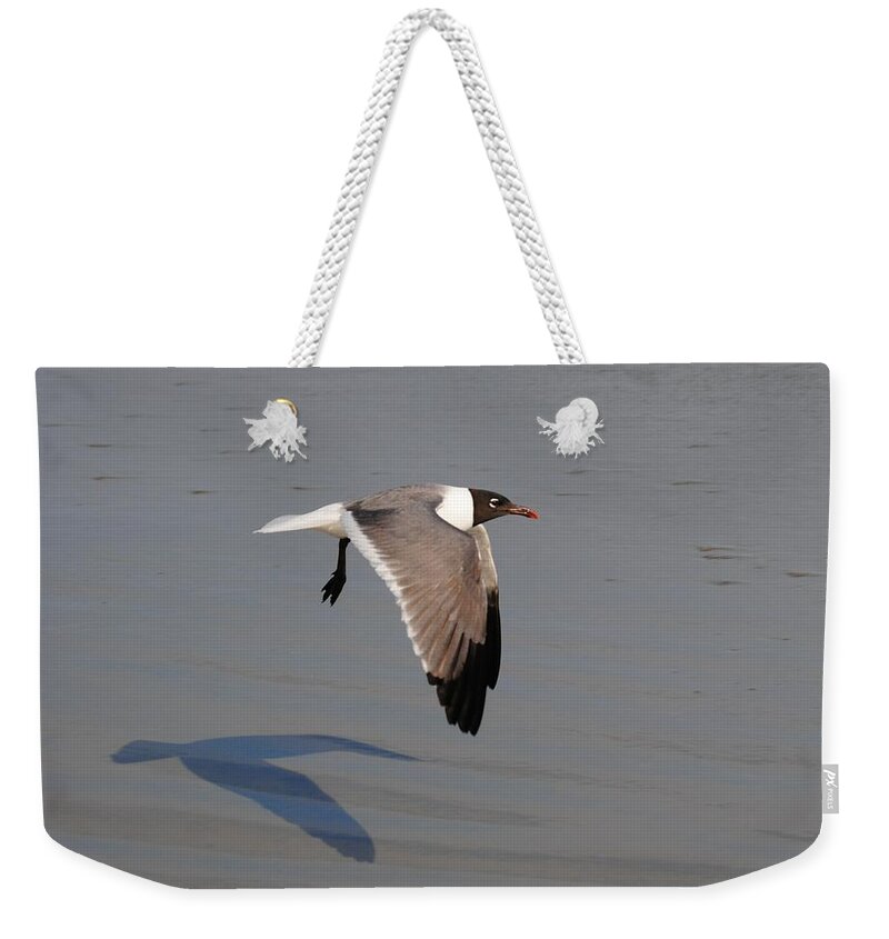 Bird Weekender Tote Bag featuring the photograph You Following Me by Eric Liller
