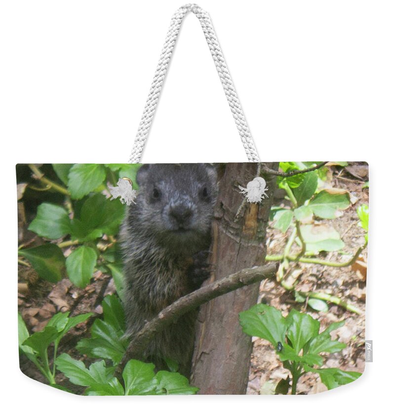 Woodchuck Weekender Tote Bag featuring the photograph You Talkin' to Me? by Geoff Jewett