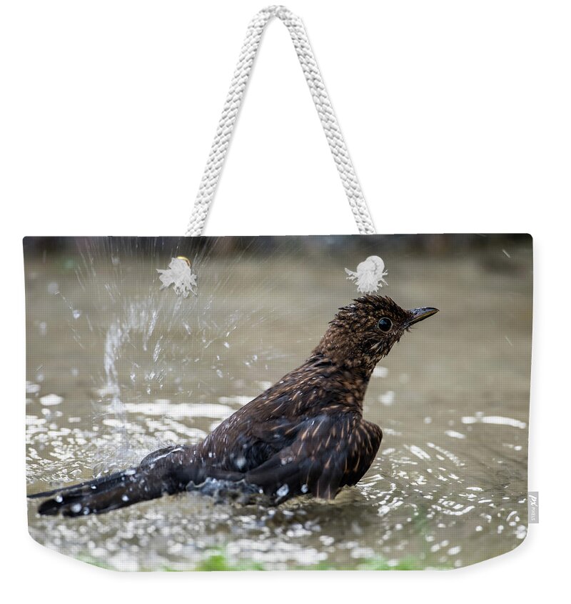 Young Blackbird's Bath Weekender Tote Bag featuring the photograph Young Blackbird's bath by Torbjorn Swenelius
