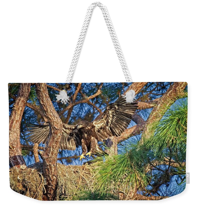 Eagle Weekender Tote Bag featuring the photograph Young Eagle on Nest by Ronald Lutz