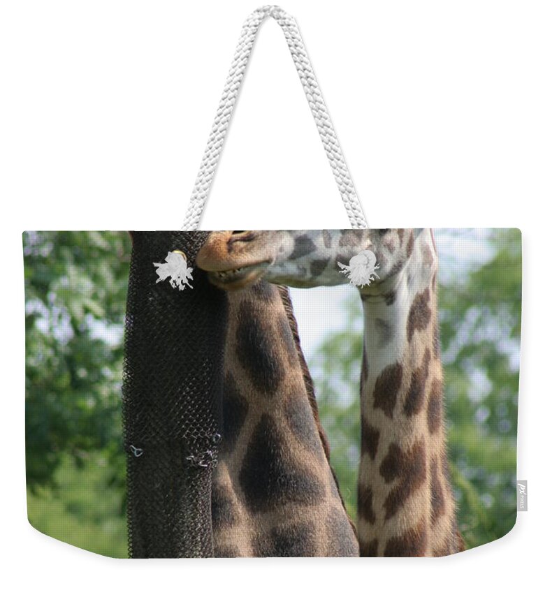Vertical Weekender Tote Bag featuring the photograph Young Giraffe smiling at the camera by Valerie Collins
