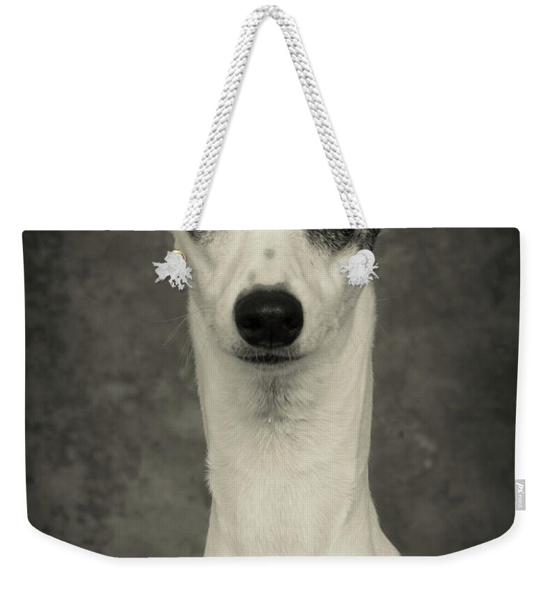 Whippet Weekender Tote Bag featuring the photograph Young Whippet In Black and White by Greg and Chrystal Mimbs