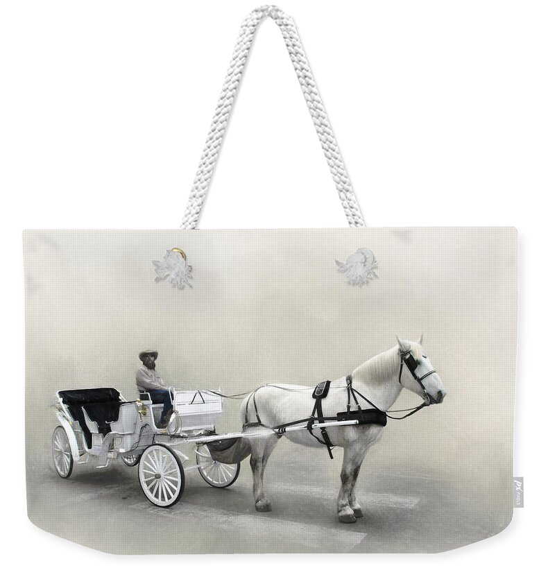 Animals Weekender Tote Bag featuring the photograph Your Carriage Awaits by David and Carol Kelly