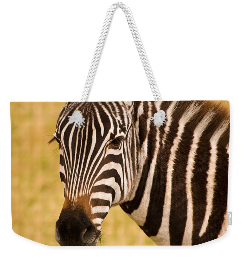 3scape Photos Weekender Tote Bag featuring the photograph Zebra by Adam Romanowicz