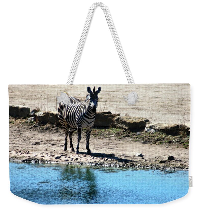 Zebra Weekender Tote Bag featuring the mixed media Zebra at the watering hole by Steve Karol