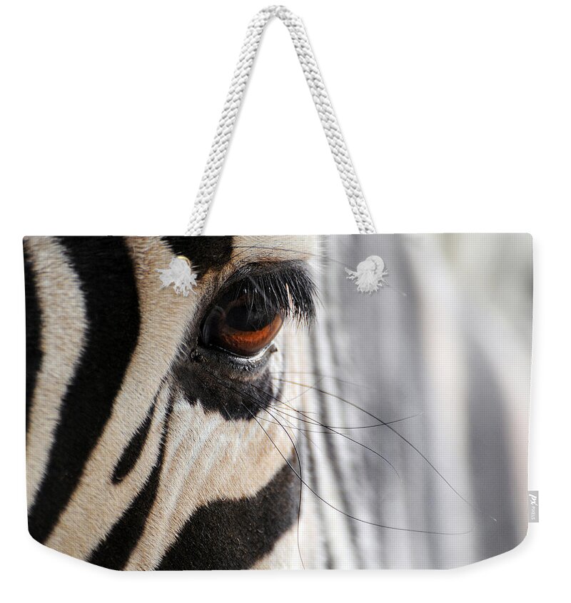 Stephanie Butler Weekender Tote Bag featuring the photograph Zebra ... Lashes by Stephie Butler
