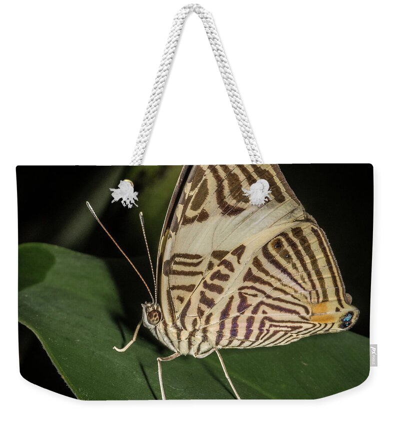 Butterfly Weekender Tote Bag featuring the photograph Zebra Mosaic by Robert Culver