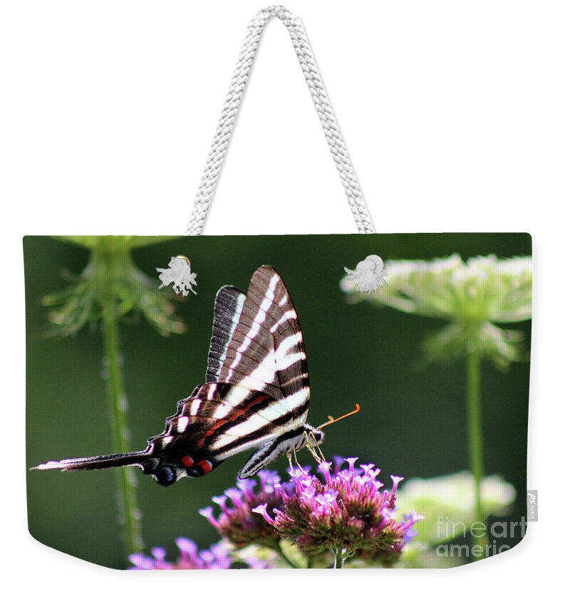 Zebra Weekender Tote Bag featuring the photograph Zebra Swallowtail Butterfly In July by Karen Adams