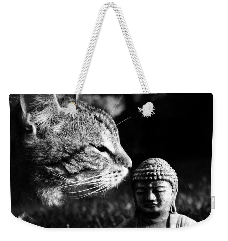 Cat Weekender Tote Bag featuring the photograph Zen Cat Black and White- Photography by Linda Woods by Linda Woods