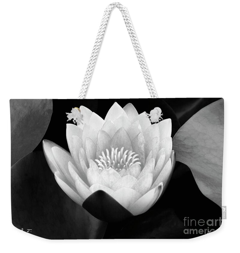 Waterlily Weekender Tote Bag featuring the photograph Rising Zen by John F Tsumas