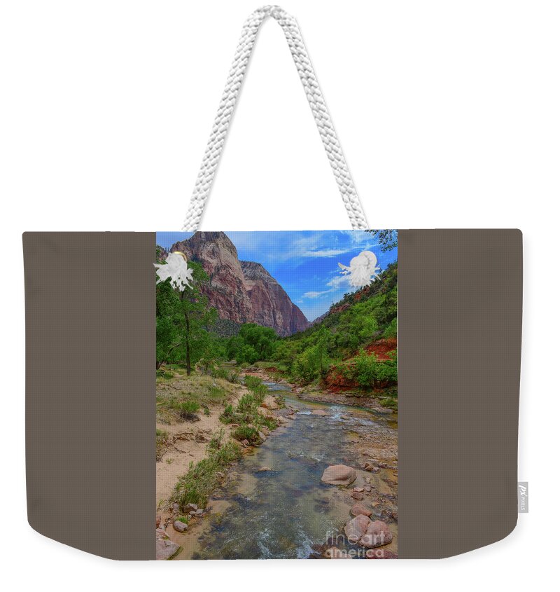 River Weekender Tote Bag featuring the photograph Zion Virgin River by Barry Bohn