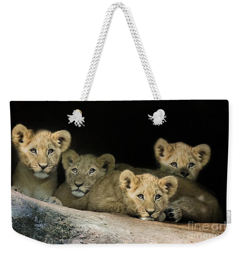 Zoo Weekender Tote Bag featuring the photograph Four Cubs by Linda D Lester