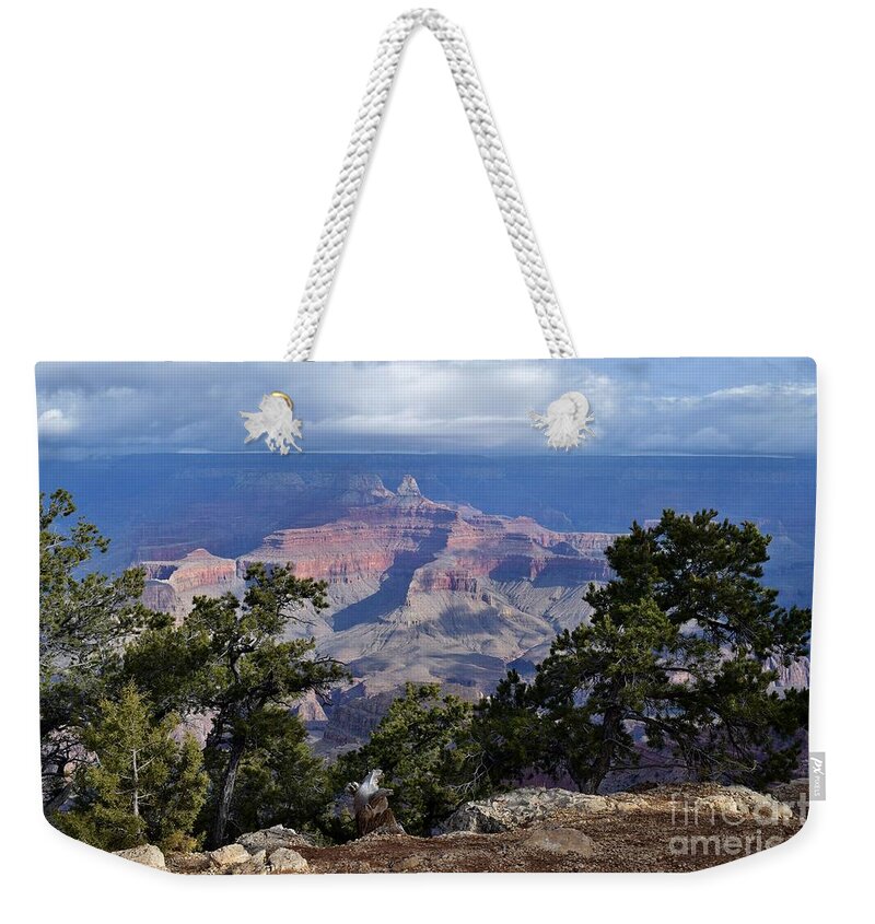 Arizona Weekender Tote Bag featuring the photograph Zoroaster Rim View by Janet Marie
