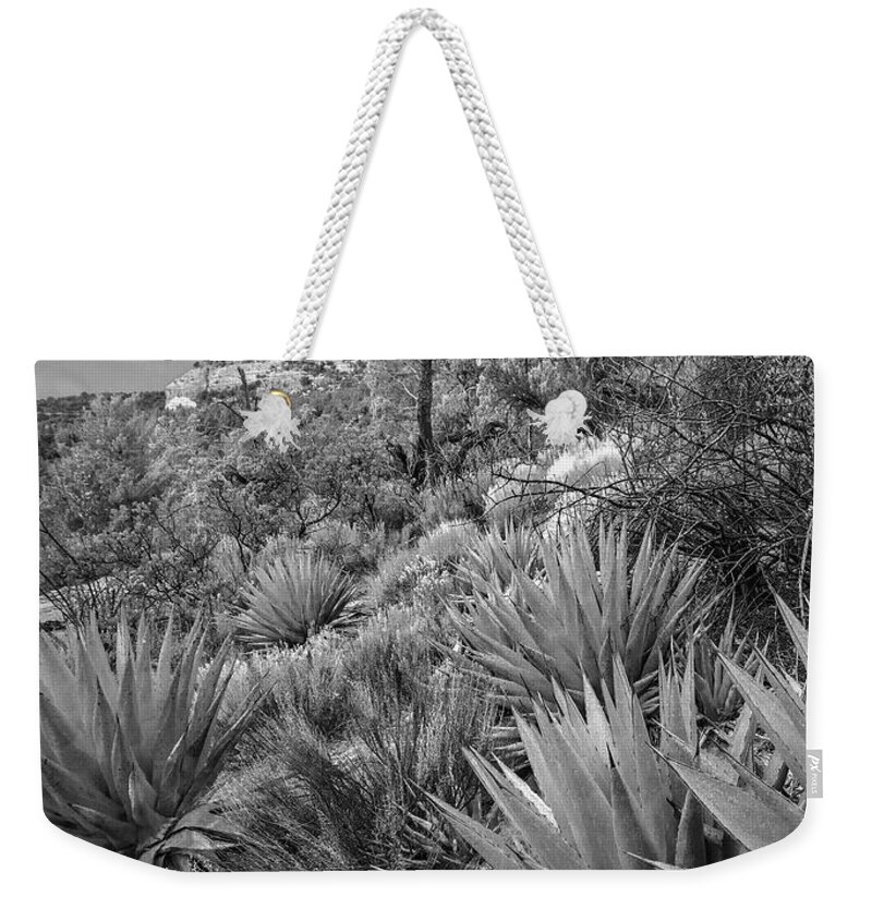 Disk1216 Weekender Tote Bag featuring the photograph Agave At Coffee Pot Rock #1 by Tim Fitzharris